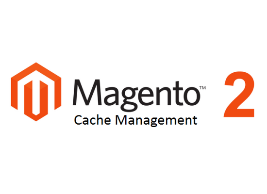 Magento 2: Full Page Cache issues