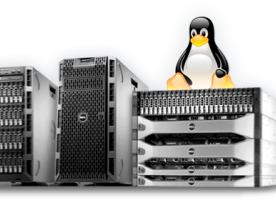 Choosing the right hosting package for your business